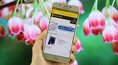  Tại sao không có chế độ tùy chọn nhà phát triển trên máy Android? 