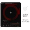 Bếp hồng ngoại Daikiosan DKN-100003