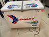 Tủ đông Sanaky 220 lít VH-2899W1
