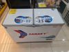 Tủ đông Sanaky 260 lít VH-3699W1