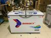 Tủ đông Sanaky 260 lít VH-3699W1