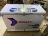 Tủ đông Sanaky 260 lít VH-3699W1