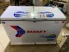 Tủ đông Sanaky 260 lít VH-3699W1
