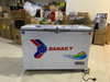 Tủ đông Sanaky 260 lít VH-3699W1