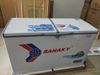 Tủ đông Sanaky 305 lít VH-4099A1
