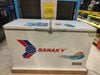 Tủ đông Sanaky 305 lít VH-4099A1