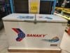 Tủ đông Sanaky 305 lít VH-4099A1