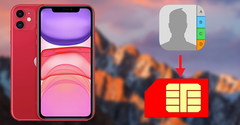  Cách chép danh bạ từ iPhone sang SIM đơn giản, nhanh chóng 