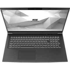  Laptop Schenker Media 17-e21smm 