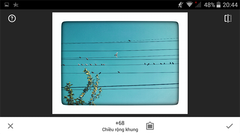  TOP 6 app chỉnh ảnh có khung trắng đẹp, độc đáo nhất trên Android, iOS 