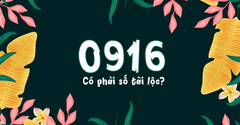  Đầu số 0916 là mạng gì? Ý nghĩa của đầu số 0916? Có phải số may mắn? 