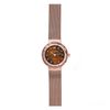 Đồng hồ Nữ Skagen 456SRR1