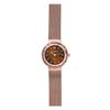 Đồng hồ Nữ Skagen SKW2593