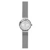 Đồng hồ Nữ Skagen 456SSS