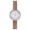 Đồng hồ Nữ Skagen 456SRR1