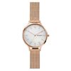 Đồng hồ Nữ Skagen SKW2931
