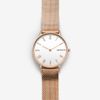 Đồng hồ Nữ Skagen SKW2714