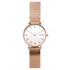 Đồng hồ Nữ Skagen SKW2714