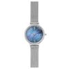 Đồng hồ Nữ Skagen SKW2862