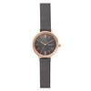 Đồng hồ Nữ Skagen SKW2909