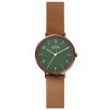 Đồng hồ Nữ Skagen SKW2973