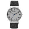 Đồng hồ Nữ Skagen SKW2141