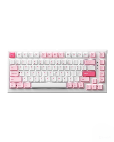 Bàn phím cơ AKKO MonsGeek MG75 Prunus Lannesiana
