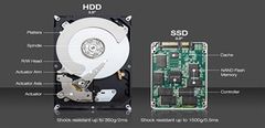  So Sánh Ổ Cứng Ssd Và Hdd: Khác Gì Nhau, Nên Chọn Mua Loại Nào? 