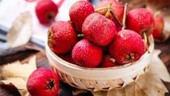  Quả sơn tra là quả gì? Tác dụng của sơn tra, cách dùng và nơi mua 