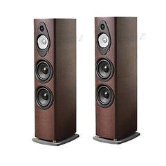  Loa Sonus Faber Sonetto V G2 