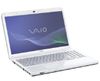 Sony Vaio C