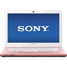  Sony Vaio E Series Sve14135Cxp 