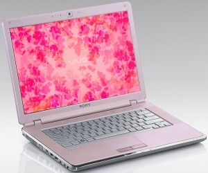 Sony Vaio Fit Svf1521Dsg
