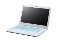 Sony Vaio Sve-11116Fg