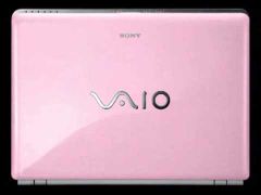  Sony Vaio Sve-14132Cx/P 