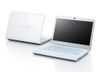 Ic Nguồn Sony Vaio Sve-14A35Cg/W