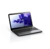 Màn Hình Lcd Sony Vaio Sve-15113Fx/S