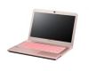 Sony Vaio Sve-1513Mpx