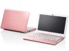 Sony Vaio Vpc-Eb3Bfx/L