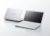 Sony Vaio Svt-13111Efy