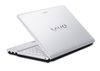 Sony Vaio Svt-13117Fg