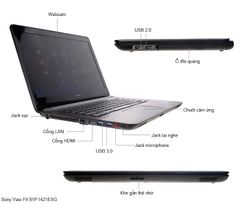  Sony Vaio Vaio Svf1421Esg 