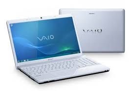 Sony Vaio Vgn-Aw110N