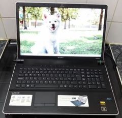  Sony Vaio Vgn-Aw290Jah 