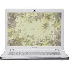 Sony Vaio Vgn-Aw290Yfb