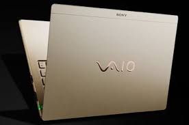 Sony Vaio Vgn-Aw31Zj
