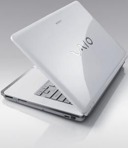 Sony Vaio Vgn-Cs110