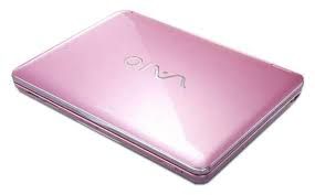 Sony Vaio Vgn-Cs31Mr