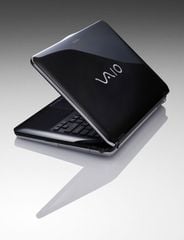  Sony Vaio Vgn-Fw390Jfb 