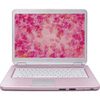 Sony Vaio Vgn-Nr498E/P